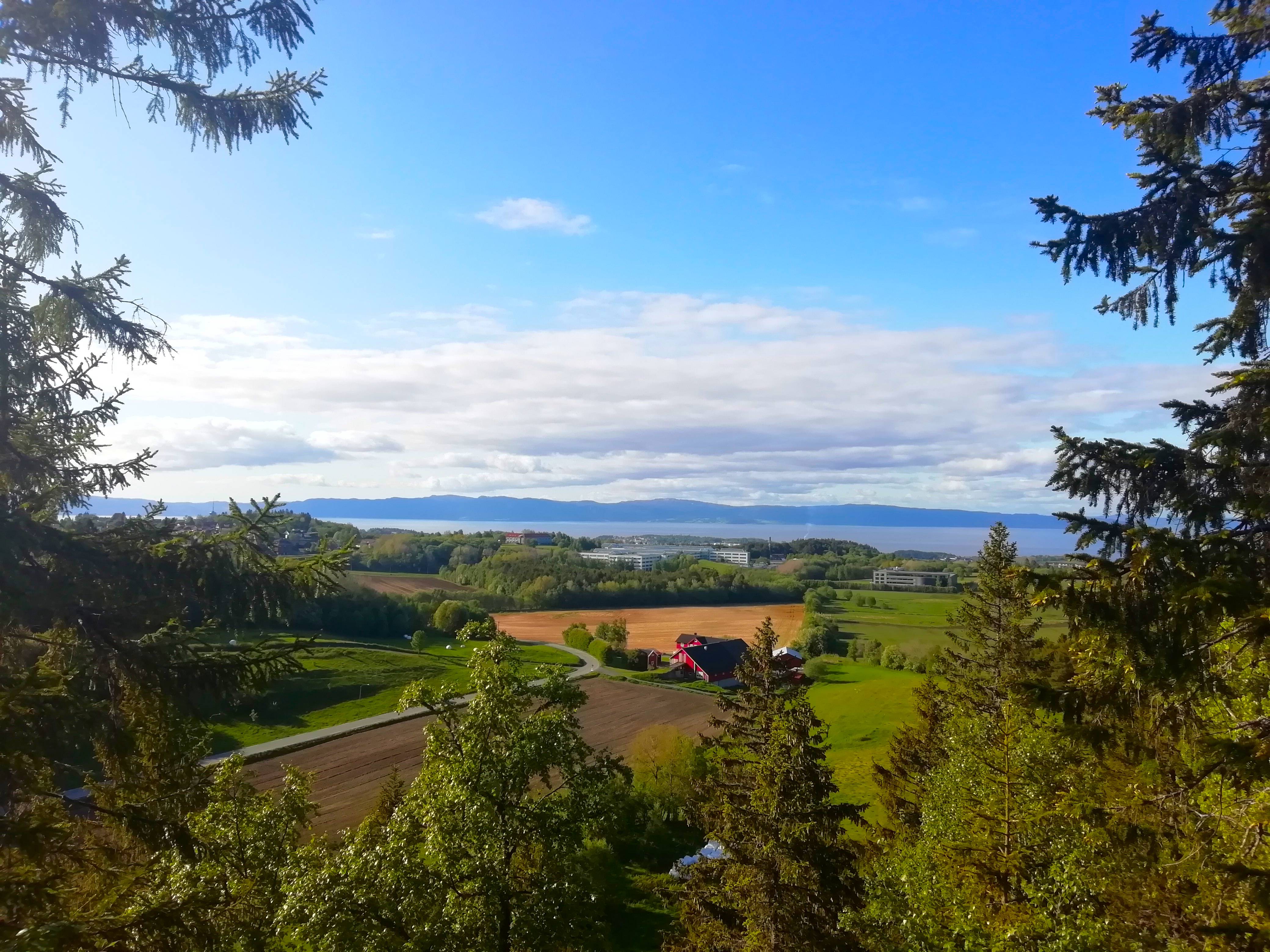 A large blue sky picture from the burmaklippen. Point of view over Trondheim, green trees and a fjord overview
