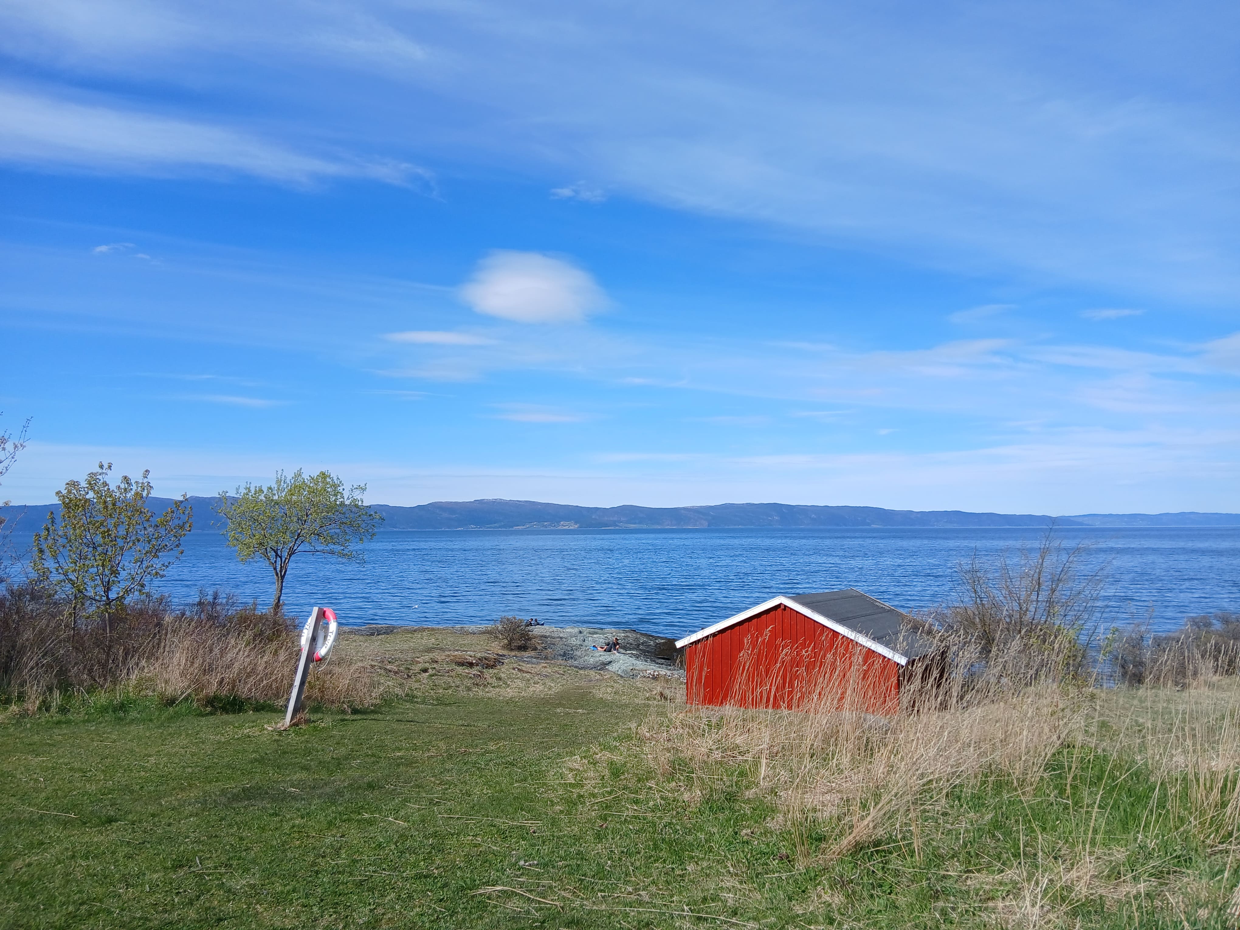 blue sky, fjord of Trondheim, green grass, beach and a red wooden house on the right of the picture