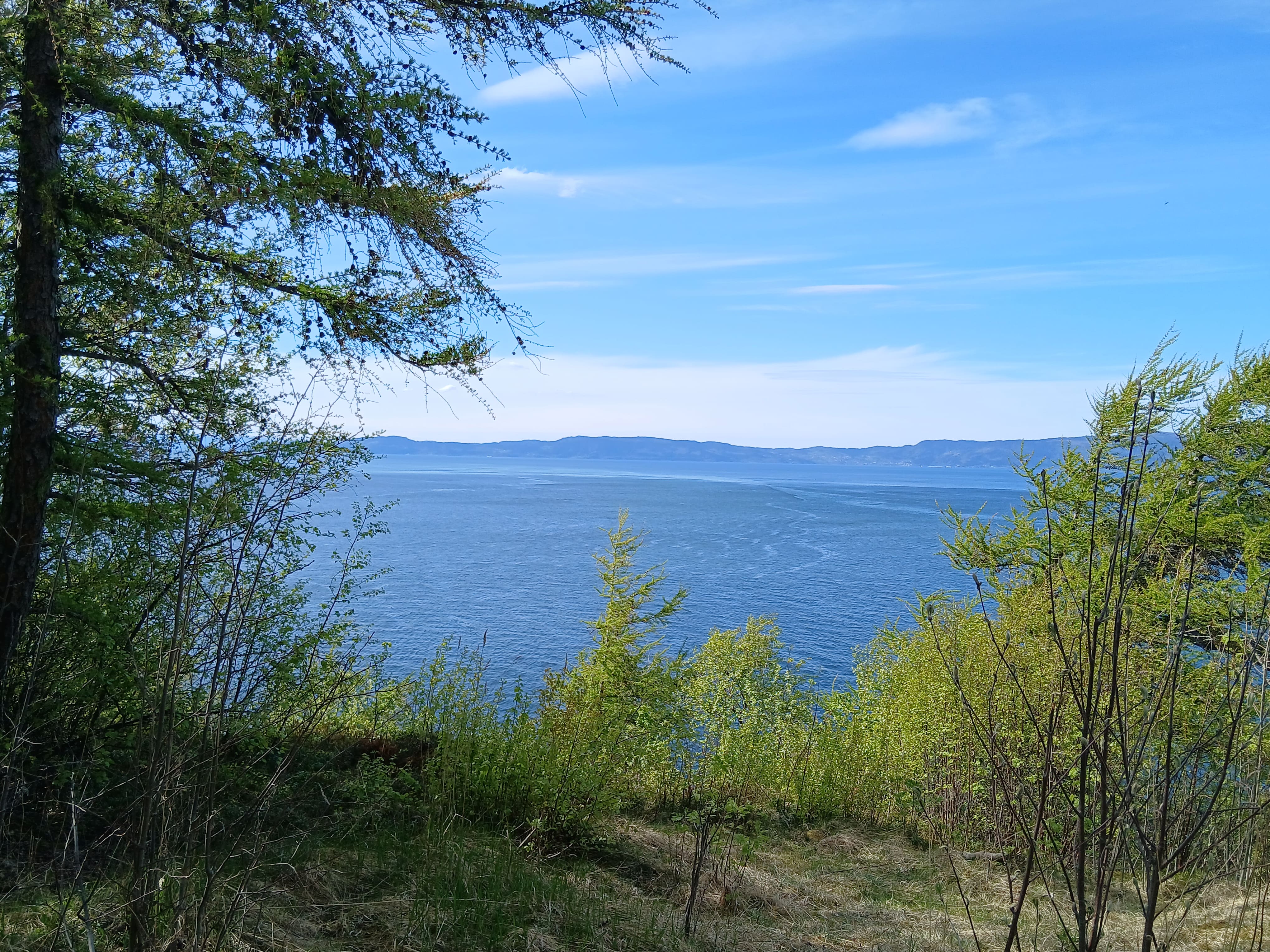 blue sky, green trees and a hiking trial along the Trondheim's fjord