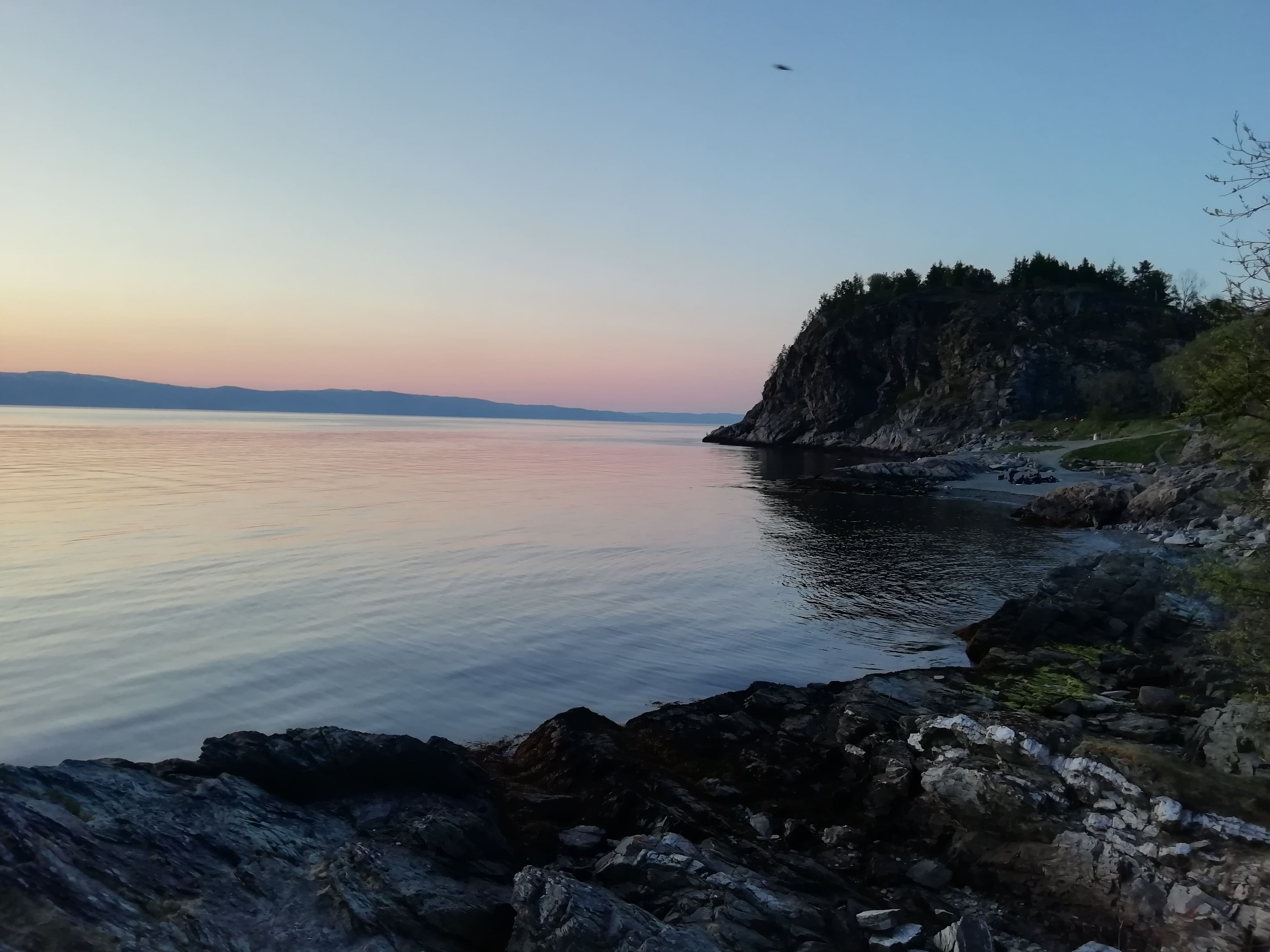 Korsvika beach on a pink sunset with a view of a cliff and the Trondheim's fjord